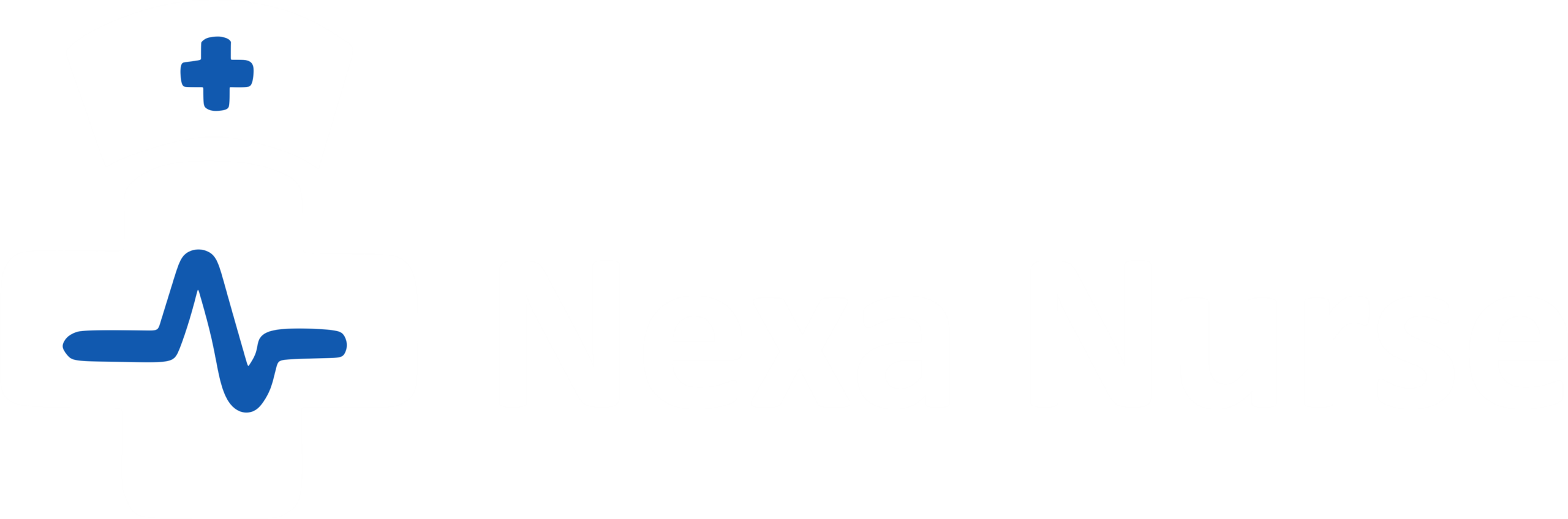 Nexa Nurse Logo
